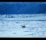 Svalbard by Jens Henrik Nybo www.visitnorway.com
